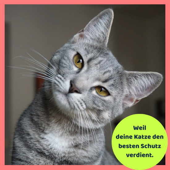 Bester Schutz für deine Katze Dank simpego.