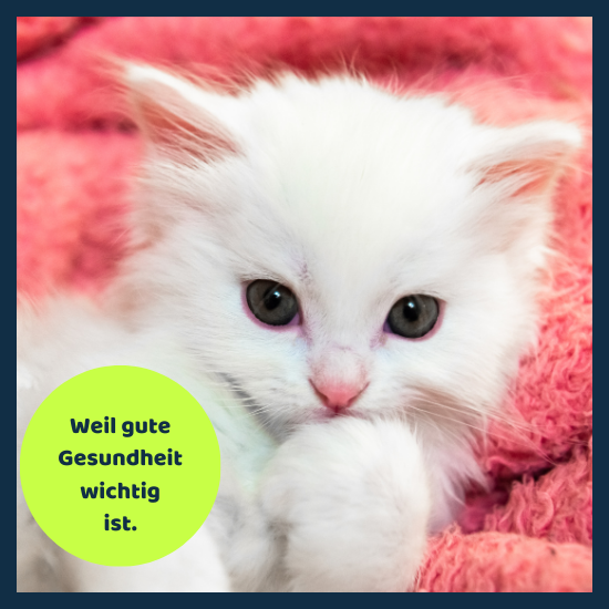 Gute Gesundheit