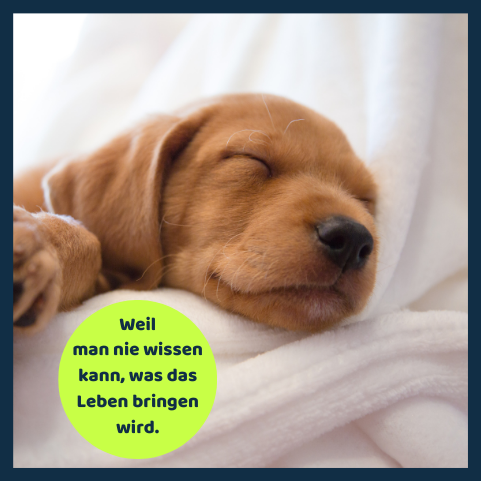 Gute Gesundheit
